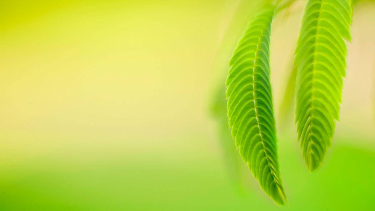 王者荣耀人气值-美拍业务-外卖